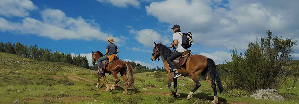 Paseo en Caballos