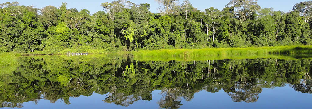 Tambopata Ecologico