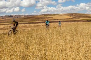 Bicicleta de Montaña Maras Moray