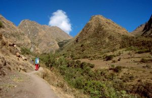 Camino Inka