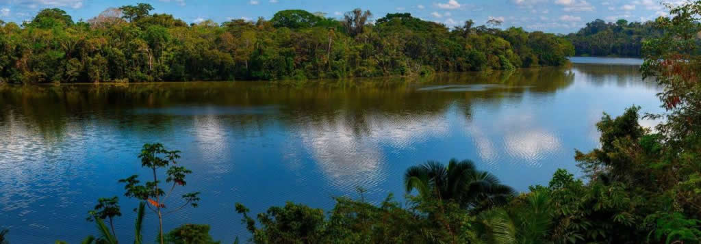 Tambopata selva lluviosa