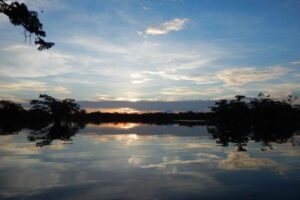 Tambopata selva lluviosa